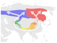 Presumed evolution of five "species"  of greenish warblers around the Himalayas