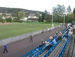 The pitch from the stands