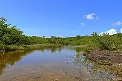 Guánica State Forest in Boca, the Guayanilla side of the forest
