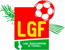 Shirt badge/Association crest