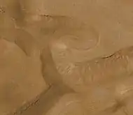 Full color image of gullies on wall of Gorgonum Chaos.  Image is located in the Phaethontis quadrangle.