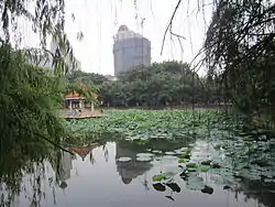 Guzhen park