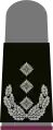 a. Black base textile with bright-grey emblems – Heer (here: colonel NBC defense corps, grey pullover)