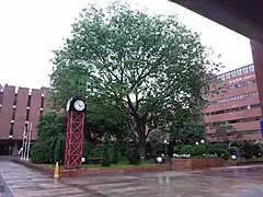 The bell tower is one of the gathering places for students. Taken in May 2019.