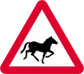 Horses ahead