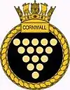 Ship's badge