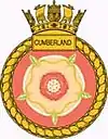 Ship's badge