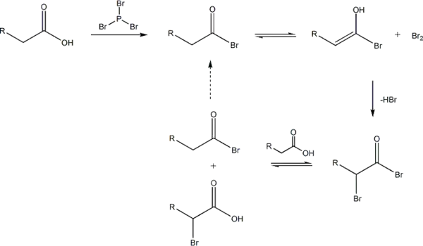 Hell-Volhard-Zelinsky reaction mechanism overall