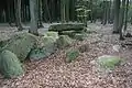 Megalithic chambered tomb "Dübberort II"