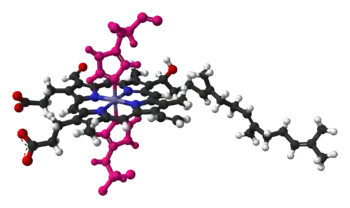 Heme a in cyctochrome c oxidase, bound by two histidine residues (shown in pink)