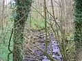 The Hag Burn at Jocklan Bridge near Galston.