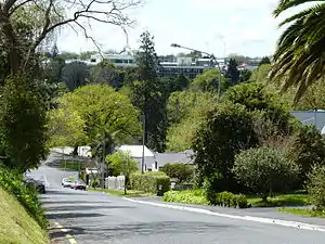 Radnor Street in Hamilton West, Hamilton.