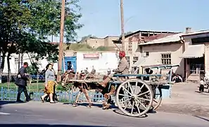 "Araba" in Samarkand in 1964
