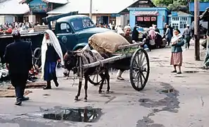 "Araba" in Samarkand in 1964