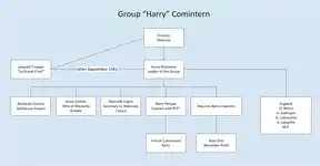 The Harry Group was the 2nd Group in Leopold Trepper's seven espionage networks. This group collected espionage secrets from French military and political circles, e.g. Vichy, Vichy intelligence Deuxième Bureau  and Gaullist circles.