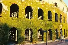 Exterior ivy, removed in 2006