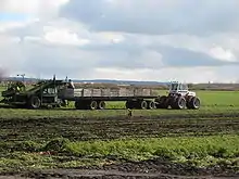A farm field with a white tractor towing a long wagon with wood-plank walls used to collect vegetables. A farmer is standing on the back of the wagon, adjacent to a harvesting machine which uproots carrots from the field and sends them along a slanted conveyor belt to the farmer. In the foreground is a brown-coated dog.