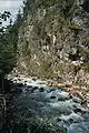 The Haselbach in the Öfenschlucht gorge