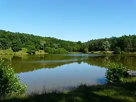 Etang du coucou