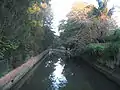 Hawthorne Canal looking upstream near Lord St, Haberfield.