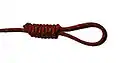 Hangman's knot