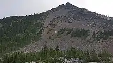 Mountain goats seen on the bare, rocky slope of the volcano, to the right of a forested area