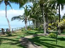tropical garden with palms by the sea