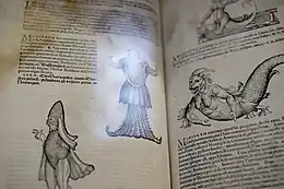 Fantastical creatures in a historic book, Historiae Animalium by Conrad Gessner