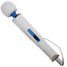 Hitachi Magic Wand (HV-250R)