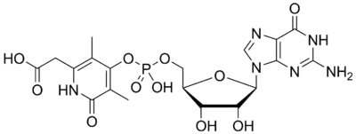 Hmd Catalyzed Reaction