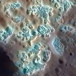 "Hollows" on Mercury. Colors are enhanced. Width of the image is 7&nbsp;km.