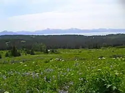 View from Diamond Ridge on the Homestead Trail, showing Kachemak Bay and the Kenai Mountains