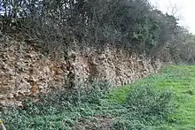 Face of Hiatt's Pit ironstone quarry.