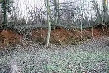 Excavated face of ironstone quarry.