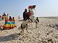 Horse on the  Varanasi Beach