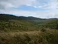 upland pasture in Horton Plains Valley, Horton Plains National Park in central highlands of Sri Lanka