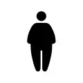 PF 073: Priority facilities for obese people