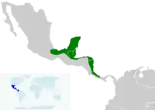 A map of Central America showing the range of the black-cowled oriole as a green strip along the Caribbean coast