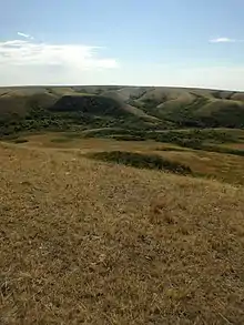 A buffalo jump and pemmican processing site in the Coalmine Ravine near Herschel