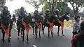 Mounted Police