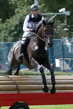 Ingrid Klimke on Butts Abraxxas in the team eventing