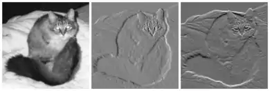 Left: Black and white picture of a cat. Center: The same cat, displayed in a gradient image in the x direction. Appears similar to an embossed image. Right: The same cat, displayed in a gradient image in the y direction. Appears similar to an embossed image.