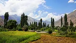 Ishkoman Valley in summer