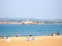 View of the island as seen from Sardinero
