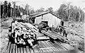 A sawmill at Bell Hill, possibly Jack Bros' Sawmill