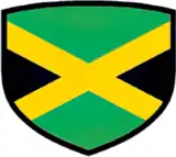 Shirt badge/Association crest