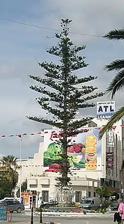 The center of Nabeul.