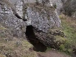 Entrance to the cave