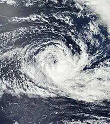 Satellite image of a rather disorganized tropical cyclone, with ragged banding features and a disorganized center of circulation.