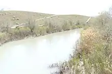 A river with plants on either side. A hill rises on the right side.